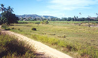 The road out of Seashell Cove Resort