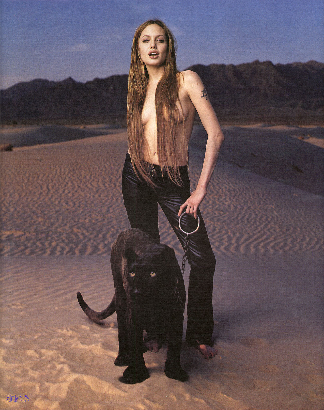 Jolie-panther.jpg 368.2K
