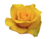 13-370723663.gif (4810 bytes)