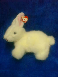 Bows  the small white bunny