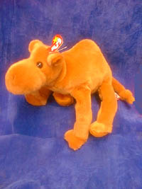 Humpfrey the Camel