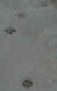 view19.jpg (7991 bytes)