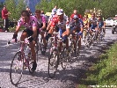 Indurain, Rominger, Ullrich, Riis, etc.