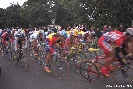 The fast-moving peloton zips past (Steels centre)