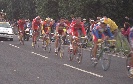 A group including Outschakov, Cipollini and Barthe coast in, way down