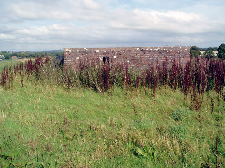 Greenmill pill-box.  Photograph © Philip Tuer 2006.