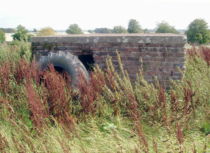 Greenmill pill-box.  Photograph © Philip Tuer 2006.