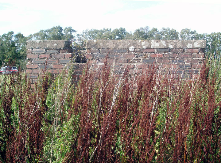 Greenmill pill-box.  Photograph © Philip Tuer 2006.