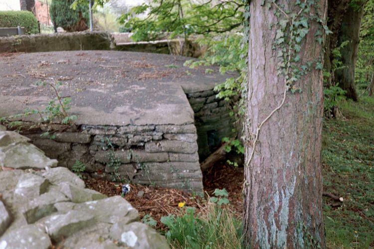 View of the roof showing door formation.