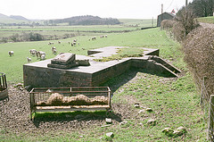 General view.  Decoy site in field to the LHS (down the hill).