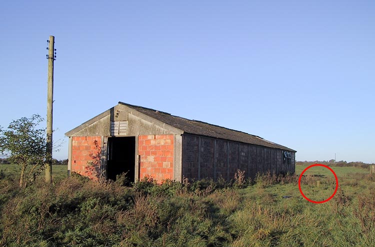 The wireless hut looking west.