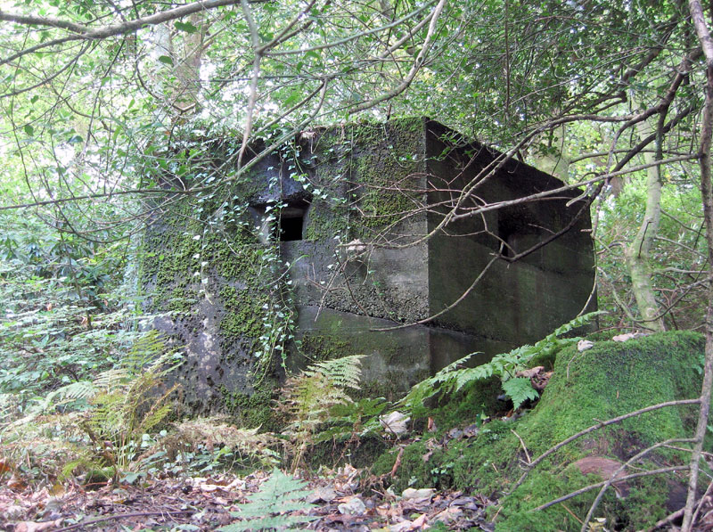 looking at the pill-box from the wall beside the road.