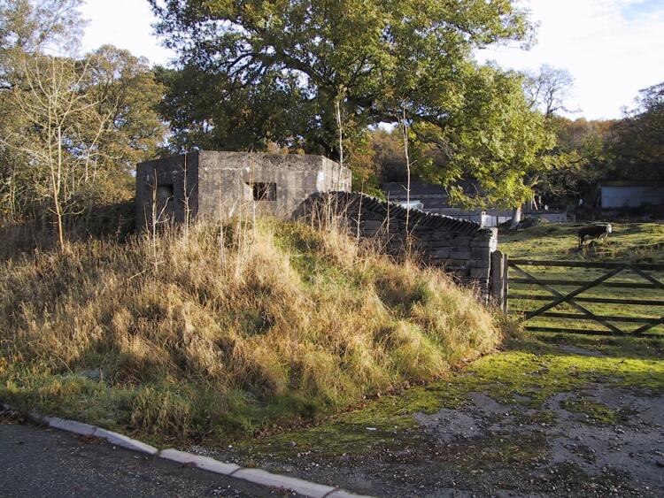 Looking at the pill-box from the roadside.