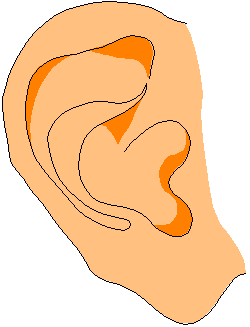 ear