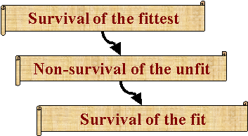 survival of the fittest, nonsurvival of the unfit, survival of the fit