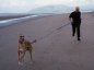 click for bigger picture