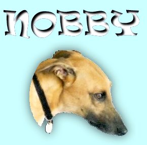 Hi, I'm Nobby,  Click on me to see my site