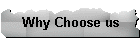 Why Choose us