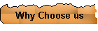 Why Choose us