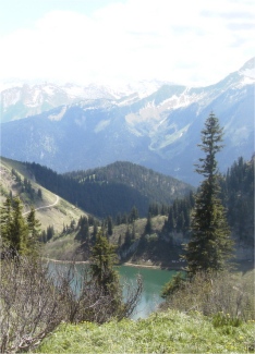 Abondance Valley