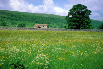 Yorkshire Dales