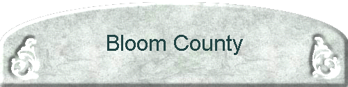 Bloom County