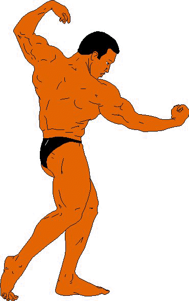Body Builder.jpg (30160 bytes)
