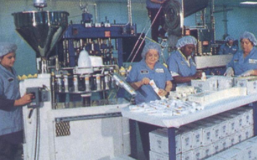 factory2.JPG (66646 bytes)
