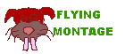 Flying Montage