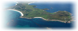 St Martins Arial View