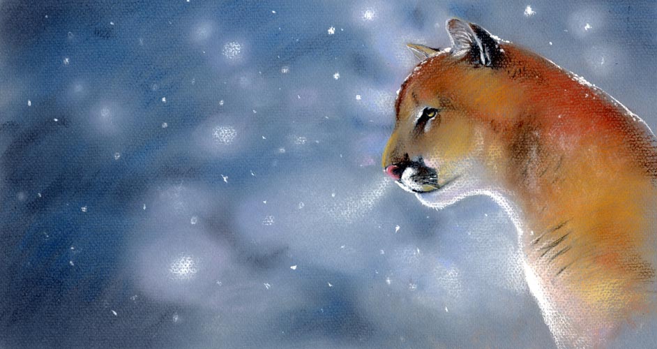 cougar pastel