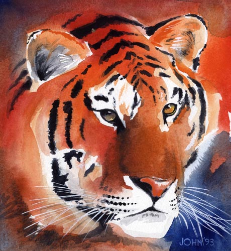 tiger watercolour