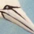 gannet