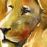 lion watercolour