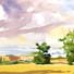 graffham field watercolour