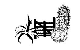logo.gif (34585 bytes)