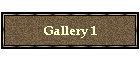 Gallery 1