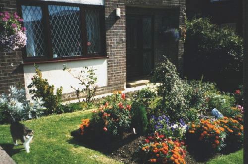 Picture of a modellers home