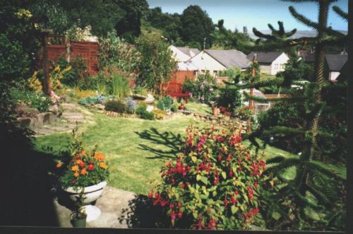 picture of a modelers back garden