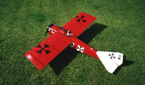 Picture of David's Magnatilla