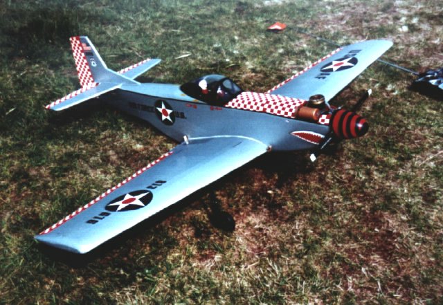 Picture of a very lifelike Mustang from Steve