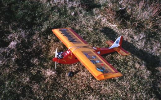 picture of Davids webbit ready for flight