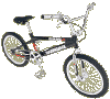 99skin.gif (14858 bytes)