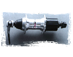 STXREAR.gif (21203 bytes)