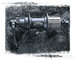 XTR REAR.gif (37273 bytes)