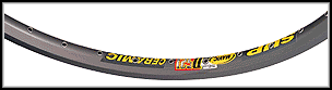 d521.gif (5727 bytes)